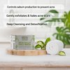 Ireya Ayurveda Green Tea Clay Mask with French Green Clay Moisturizing & Hydrating Clay Facial Mask, Deep Cleansing Facial Mask with kaolin clay, Vitamin E, Bentonite Clay, & Aloe Vera Extract