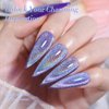 Born Pretty Magnetic Gel Nail Polish Silver Holographic Cat Magnetic Eye Gel Polish Nail Gel Soak Off Nail Art Salon Manicure Collection Gift