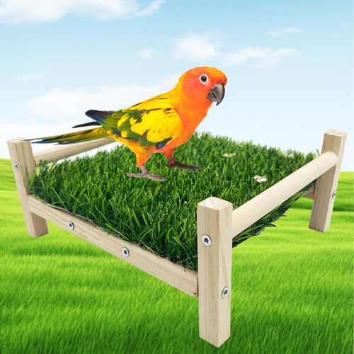 FlidRunest Bird Foraging Bed, Parrot Hammock Bed, Parrot Grass Perch Bed, Bird Perch Conure Platform Grass Forage Toy for Parakeet, Parrot, Cockatiel, Lovebird, Budgie