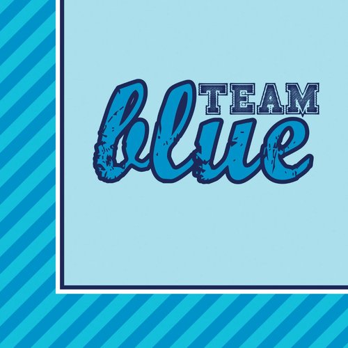 Creative Converting 18 Count Gender Reveal Beverage Paper Napkins, Team Pink/Team Blue