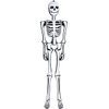ZH-SKEL6 Party Supplies, 6 ft, White, black