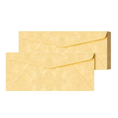 New Champagne #10 Parchment Business Envelopes – Perfect for Invitations, Greetings, Holiday, Office, Invoices, Letters, Mailings | 4 1/8 x 9 1/2 Inches | 50 Per Pack