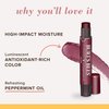Burt's Bees Shimmer Lip Tint Set, Tinted Lip Balm Stick, Moisturizing for All Day Hydration with Natural Origin Glowy Pigmented Finish & Buildable Color, Plum (4-Pack)