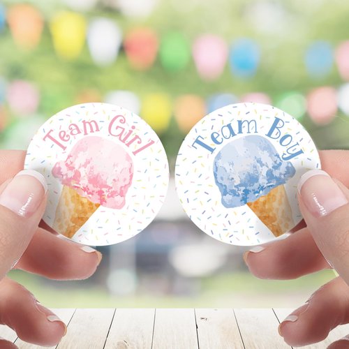 What's The Scoop Ice Cream Gender Reveal Team Boy or Girl Stickers - 40 Labels