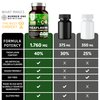 N1 Nutrition Premium Theaflavins Black Tea Extract [40% Theaflavins] Powered by TheaFit™ to Support Exercise Performance and Reduce Recovery Time, 90 Veg Caps