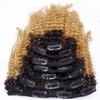 Loxxy Kinky Curly Clip In Hair 4B 4C Natural Hair Clip Ins Afro Kinky Curly Clip In Hair Extensions Virgin Clip In Hair Extensions Human Hair For Black Women Big Volume Thick Kinky Hair # 1b/27 16Inch