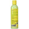 Jamaican Mango & Lime Mango & Shea Butter Lotion 8 Oz