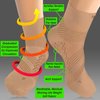 TechWare Pro Ankle Compression Socks - Plantar Fasciitis Sock & Foot Support