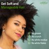 Sofn'Free Moisturizer & Curl Activator for Natural Hair, Soft Curls, and Waves 11.83 fl oz / 350ml