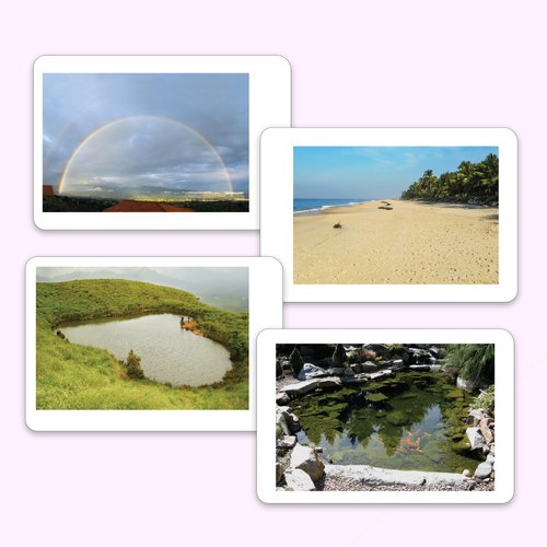 hungry brain Flash Cards for Toddlers, 24 Still Nature Flashcards, Double-Sided, Montessori, Educational, Kindergarten - Preschool Learning Activities, Gifts for Kids, 1, 2, 3, 4 Years Babies