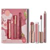 Rachel Couture Complete Lip Kit | Includes Lipstick, Lip Liner & Lip Gloss | Vegan & Cruelty Free | Infused with Rose Extract - Nude