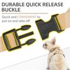 PUPTECK Soft Mesh Dog Harness and Leash Set Pet Puppy Cat Comfort Padded Vest No Pull Harnesses, Beige, S