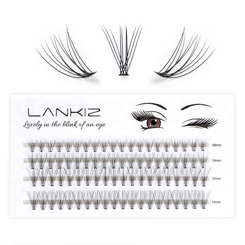 Home PRO DIY Individual Lashes Pack, LANKIZ Cluster Lashes for at Home DIY Eyelash Extension, C Curl 0.07mm Mix 10D False Natural Look Mink Single Eyelashes (10D-Lash-Mix)