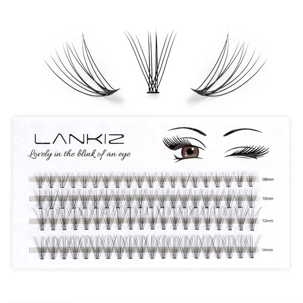 Home PRO DIY Individual Lashes Pack, LANKIZ Cluster Lashes for at Home DIY Eyelash Extension, C Curl 0.07mm Mix 10D False Natural Look Mink Single Eyelashes (10D-Lash-Mix)