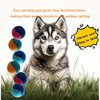 [CiaoPawS] 3 PCS Dog Tennis Balls Squeaky Dog Balls Dog Toys : Fetch Fun for Medium Size, 3 Balls Pack (2.5Inch) (M 3 PCS)