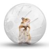 Hamster Exercise Ball Silent Hamster Wheel Small Animals Transparent Ball for Dwar Rat Relieves Boredom and Increases Activity (4.8 inch, Clear)