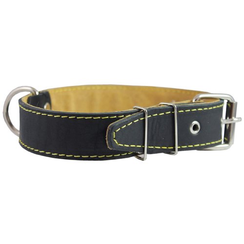 Real Thick Leather Dog Collar 16"-22" Neck Size, 1.5" Wide, Amstaff, Pitbull