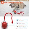 IOKHEIRA Interactive Cat Toys Ball, Motion Activate Electric Cat Toy, Automatic Pet Exercise Toys, Simulate Bird Calls, USB Rechargeable (Long Tail)