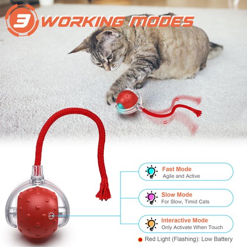 IOKHEIRA Interactive Cat Toys Ball, Motion Activate Electric Cat Toy, Automatic Pet Exercise Toys, Simulate Bird Calls, USB Rechargeable (Long Tail)