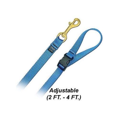 4' Pet Leash - Medium w/ Quick Release Handle - Step 5 Brown/Blue Dog Leash
