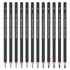 YUANCHENG Professional Drawing Sketching Pencil Set - 12 Pieces,Graphite,(14B - 2H), Graphite Pencils for Drawing, Shading Pencils for Sketching, Art Pencils for Drawing and Shading