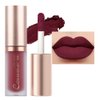evpct 6Pcs Plum Wine Red Silky Velvet Matte Liquid Lipstick Lip Gloss Set for Women Long Lasting 24 Hours Color Stay Lipstick labiales matte larga duracion mate 24 horas originales 09#