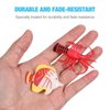 NUOBESTY 24PCS Ocean Sea Animal Figures Realistic Tropical Fish Toys Set Plastic Sea Life Creatures for Party Favors Fish Tank Decorations
