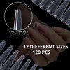 MGART Dual Nail Forms COFFIN Extension Structure Poly nail gel Nail Forms Full Cover Nail Molds 12 Sizes for Solid Nail Gel Glue Nail Art Design Salon&DIY