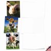 The Best Card Company - 10 Adorable Note Cards Blank (4 x 5.12 Inch) - Wildlife and Animal Cards, Assorted Boxed Kids Set - Cowlicks M4604OCB-B1x10