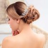 Hermoli Flower Wedding Pearl Hair Comb Silver Crystal Bridal Hair Clip Rhinestone Headpieces for Women (Silver)