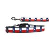 Mirage Pet Products 125-183 MD Texas Flag Nylon Dog Collar, Medium