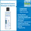 Eczema Relief Shampoo & Conditioner (Combo Pack) | Eczema Flare Control Scalp & flake Relief Therapy that Protects, Moisturizes, and Repairs Skin by DermaSolve - Kids, Babies & Adults - Steroid Free