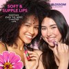 Blossom Scented Roll on Lip Gloss, Infused with Real Flowers, Made in USA, 0.20 fl. oz./5.9ml, Vanilla Bean
