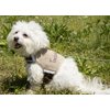 TOUCHDOG 'Tough-Boutique' Adjustable Fashion Designer Pet Dog Harness and Leash Combination, Small, Light Sand Brown