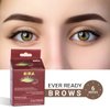 MINA ibrow Professional Hair Color Kit Regular Pack Burgundy (Burgundy with Nourishing Oil)