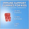Kids Immune Support Gummies with Vitamin C, Zinc & Echinacea, Gluten Free & Non-GMO Chewable Immune Support for Kids Gummy, Daily Childrens Immune Support Vitamins, Vegan, Berry Flavor - 90 Gummies