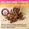 Quinine Capsules - Cinchona Officinalis Bark Herbal Supplement for Leg Cramping Relief, Cramp Defense and Overall Digestive Health - All-Natural Quinine Pills, 1000mg, 120 Tablets
