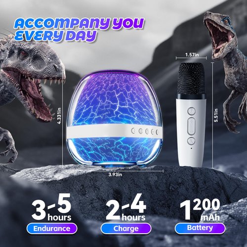 Karaoke Microphone Machine Toy for Adult Kids, Mini Portable Bluetooth Speaker with 2 Wireless Microphones for Girls 3-12 Years, Christmas Birthday Gift for 3 4 5 6 7 8 9 10 11 12 Years Old and Up