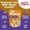 Sun Tropics Mochi Snack Bites, Tamari Teriyaki Flavor- 3.5 oz (6 Pack) | Crispy Crunchy Mochi Bites, Rice Nuggets | Mochi Puff Rice Crackers- Gluten Free & Dairy Free- No MSG Added | Asian Rice Snacks