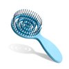 RAIN’S SECRET Lollipop Shaped Mini Detangling Hair Brush for Women,Men,Kid, Wet/Dry Hair,Pocket Detangler for Outing or Traveling (blue)