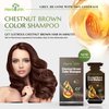 Herbishh Hair Color Shampoo 10 Sachet +1 Argan Hair Mask Pouch | 3 in 1 Hair Dye | PPD Free | Easy to Use | Gray Coverage | Travel Size | Available in 6 Colors | (Chestnut Brown)