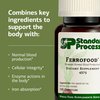 Standard Process Ferrofood - Blood Health Supplement - Enzyme Support with Vitamins B12, C, & Iron - Non-Dairy & Non-Soy - 150 Capsules (40 Servings)