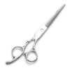 Dayline 7" Professional Salon Shears Hairdressing Scissors Haircut Human Silver Barber Scissors Japan 440c Steel Cutting Hair Scissors (7 inch)