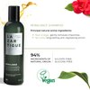Lazartigue Rebalance Shampoo, Enriched with Rice Vinegar & Spirulina, Purifies Scalp, Hydrates Lengths & Dry Ends, Hair Fiber is Rebalanced, Soft & Shiny, Vegan, Mint, 8.4 Oz