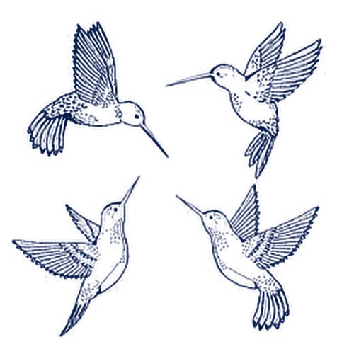 Lasting 1-2 Weeks Hummingbirds Juice Temporary Tattoo Ink Semi Permanent for Adults Woman Sketch Pencil by Hand Hummingbird Bird Navy Blue that Look Real Men Women Chest Neck Arm (4 Sheets)