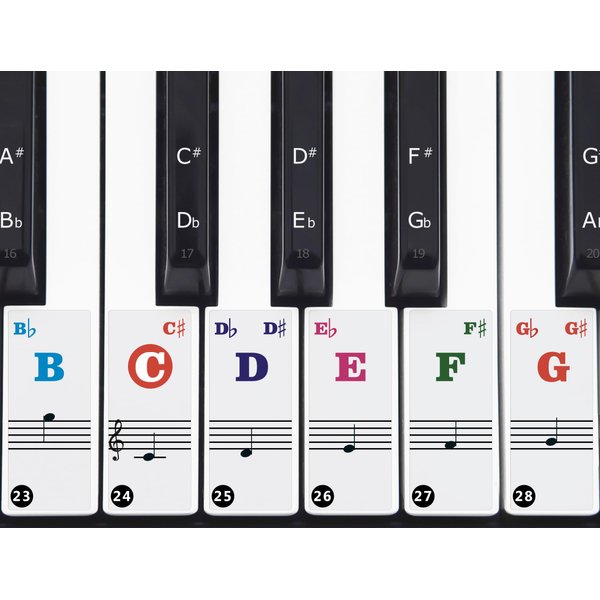 Piano Keyboard Stickers 88/61/49/37 Keys (multicolour)