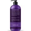VANIDOX Sulfate Free Purple Shampoo for Grey and Silver Hair, Brass Toning Purple Shampoo Infused with Purple Pigment, Purple Shampoo for Gray Hair for Women (16 fl oz)