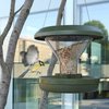 SWISSINNO Bird Feeder Davos Smart Birds. Feed Birds, not Mice & Rodents! Robust & Reliable for Hanging. Dual Food Chambers. Made in EU. Green