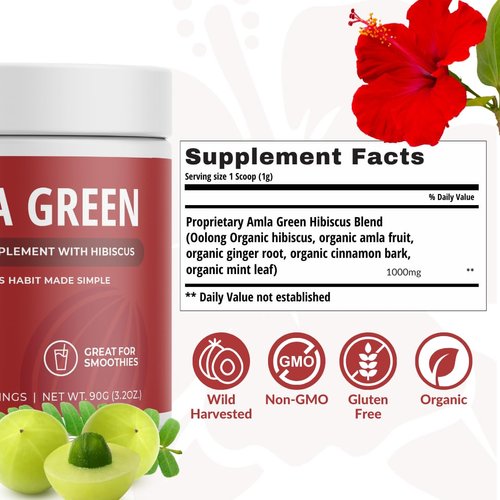 Amla Green Tea Superfood Powder Supplement, Daily Greens Antioxidant Blend with Organic Oolong Tea, 20x Concentrated Amla, Indian Gooseberries, Smooth Flavor, 30 Servings