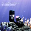 BLAQ Kelp Me Out Detox Mask Stick with Marine Algae and Kaolin Clay - Fast, mess free application - To calm, nourish, purify, protect, rejuvenate tired, dull-looking skin with anti-aging properties